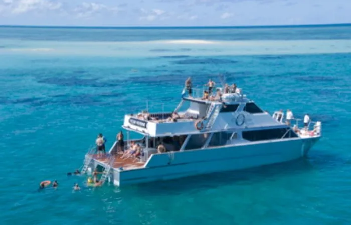 Ocean Freedom Cruise zum Great Barrier Reef