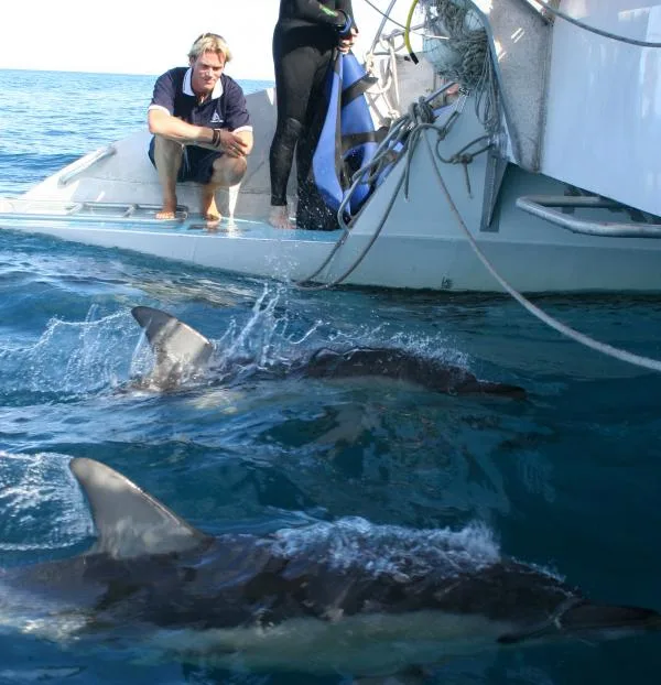 570dd554d8765_362_img5723