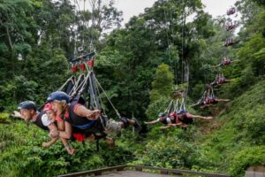 CroppedFocusedImage128072050-50-Minjin-BF-T8C4326P CroppedFocusedImage128072050-50-Minjin-BF-T8C4326P