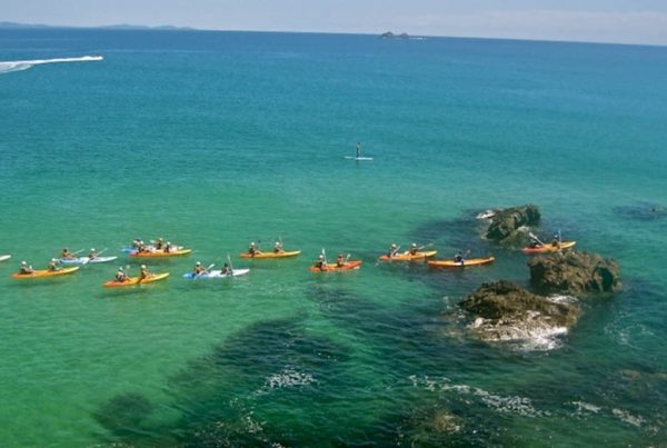 Delfin Kajak Tour Byron Bay