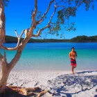 Fraser Island dingos lake
