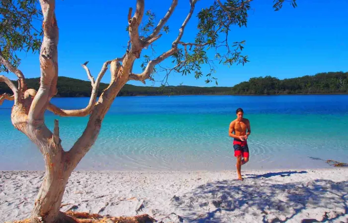 Fraser Island dingos lake