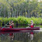 Noosa Everglades Kajak