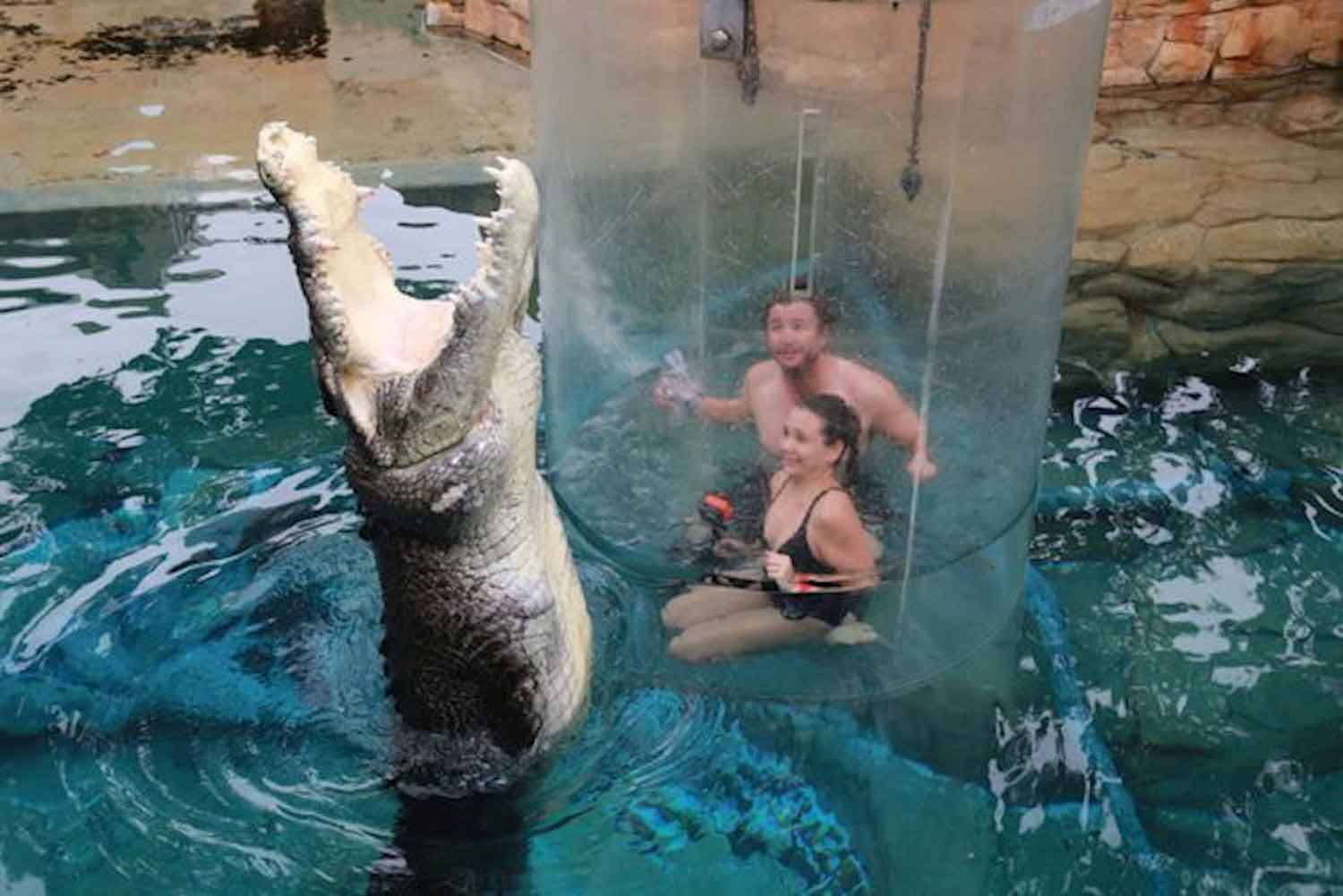 Schwimme mit einem Krokodil 3