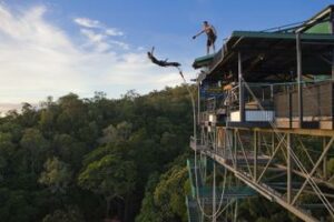 cairns-bungy-jump-and-minjin-swing-in-cairns-147206 cairns-bungy-jump-and-minjin-swing-in-cairns-147206