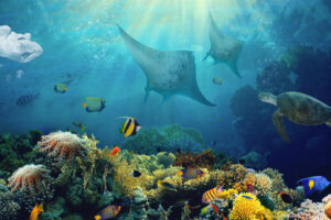 greatreef-2-jpg greatreef-2-jpg