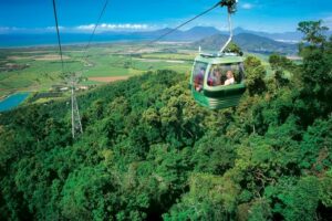 tagesausflug-von-cairns-zur-skyrail-regenwald-gondel-in-cairns-135123 tagesausflug-von-cairns-zur-skyrail-regenwald-gondel-in-cairns-135123