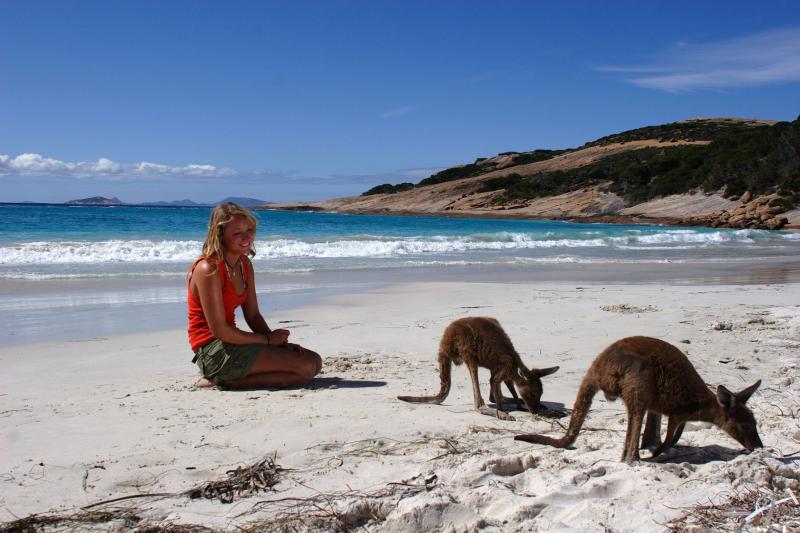 Lucky Bay Kangaroos
