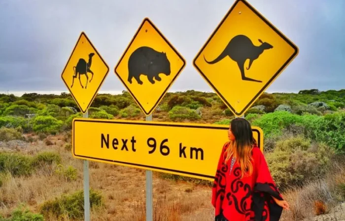 10 days/9 nights from Perth to Adelaide – Untamed Escapes