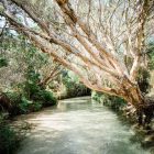 Fraser Island Tagestour