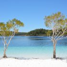 Fraser Island Tagestour