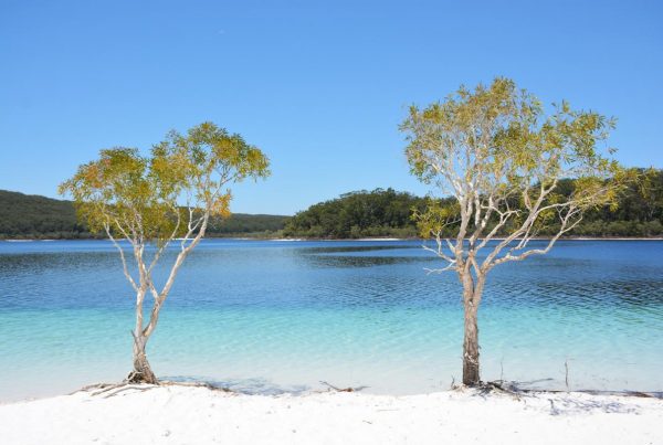 Fraser Island Tagestour