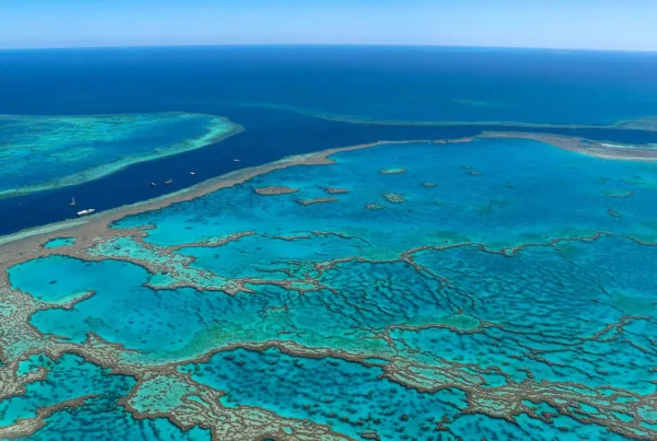 Great-Barrier-Reef-Australien