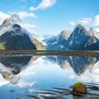 Neuseeland milford sound