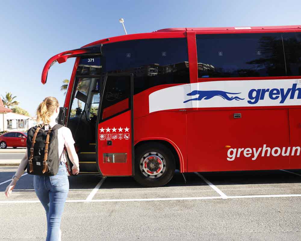 greyhound bus australien
