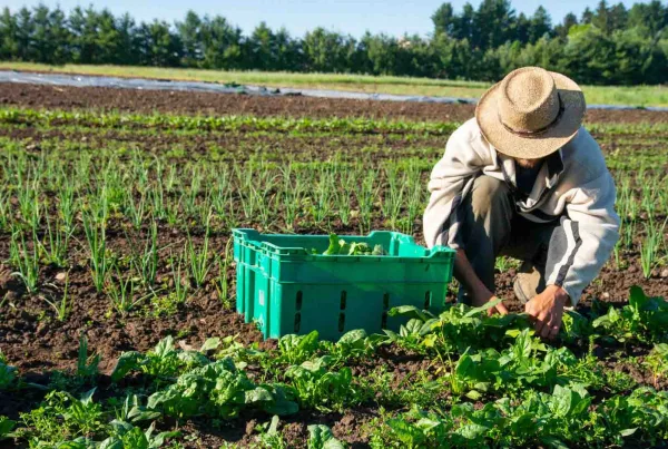 farm arbeit