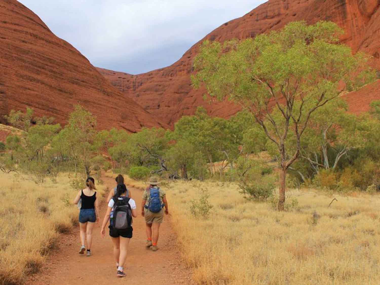 uluru tour