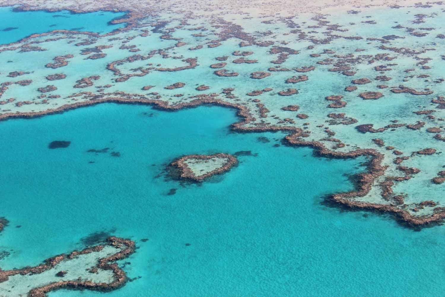 Whitsunday Air Tours heart reef