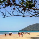 Cape Tribulation Tagestour strand