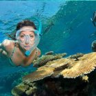 Great Barrier Reef Cairns Tagestour