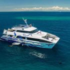 Great Barrier Reef Cairns Tagestour Diver Den