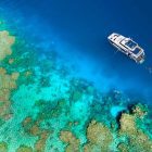 Great Barrier Reef Cairns Tagestour reef