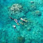 Great Barrier Reef Cairns Tagestour schnorchel
