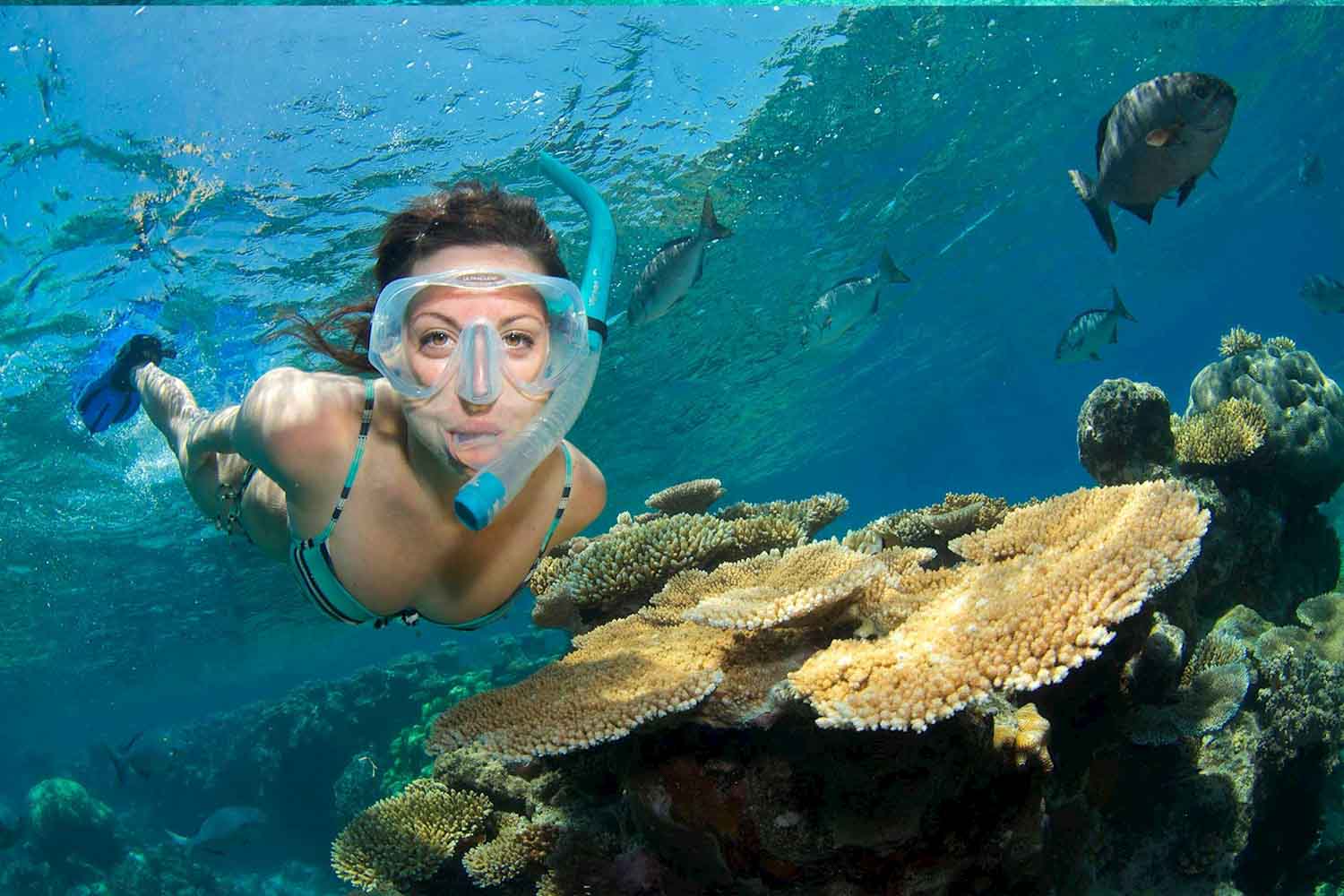 Great Barrier Reef Cairns Tagestour